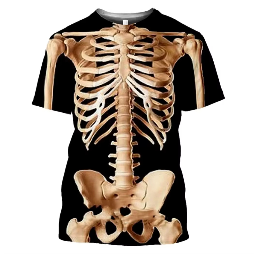 Male Skeleton Internal Organs  - 3D Printing Diagram ulasan dan harga