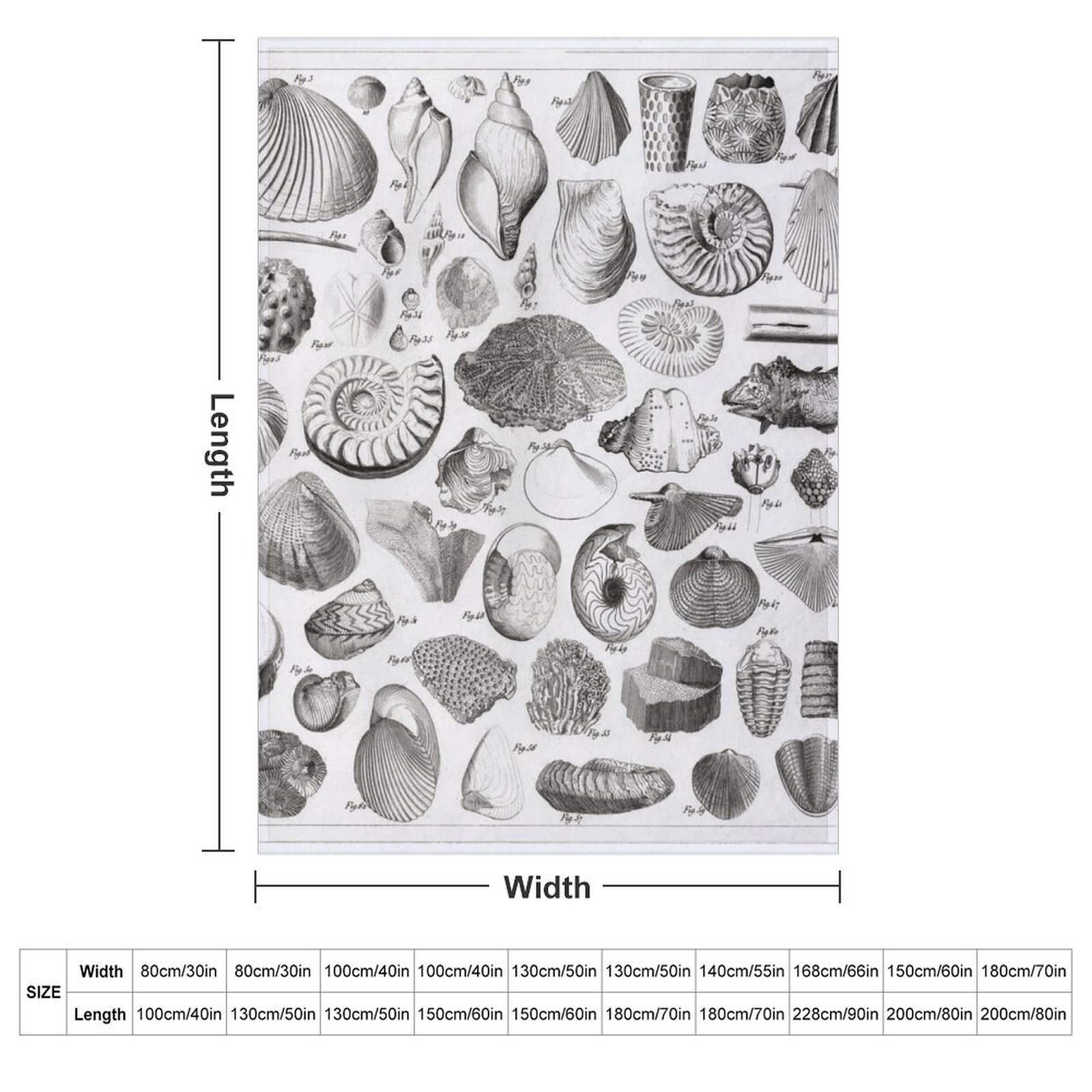 1857 Diagram Paleontology: Fos - 3D Printing Diagram ulasan dan harga