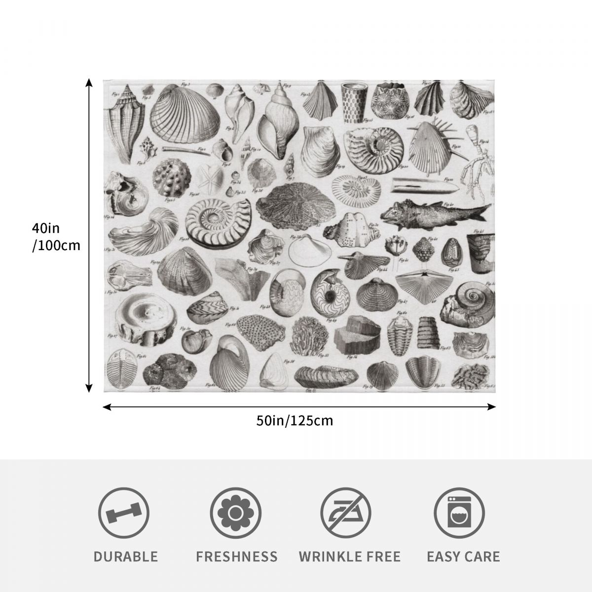 1857 Diagram Paleontology: Fos - 3D Printing Diagram ulasan dan harga